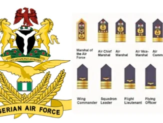 Nigerian Air Force Ranks and Symbols/Insignia in Nigeria: Full List Explained