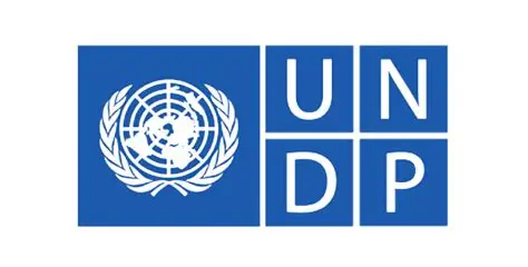 UNDP JOB